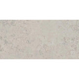 POETRY STONE ASH NAT 60X120