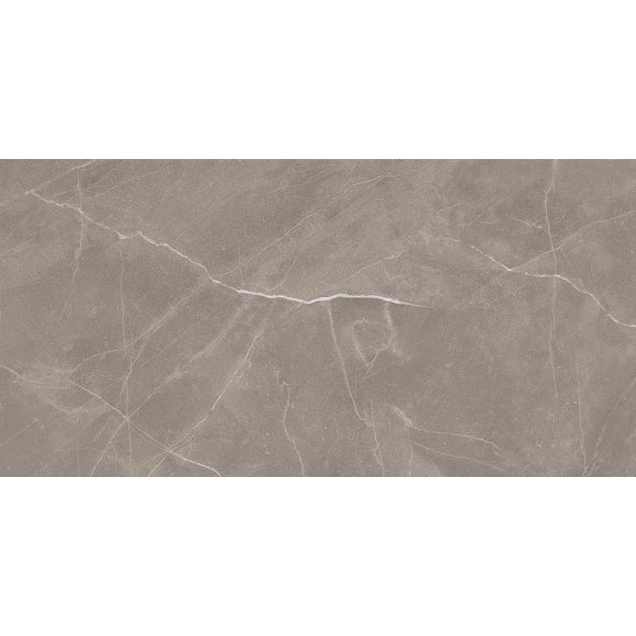 Entiva Dallas Petra Polished 300x600mm