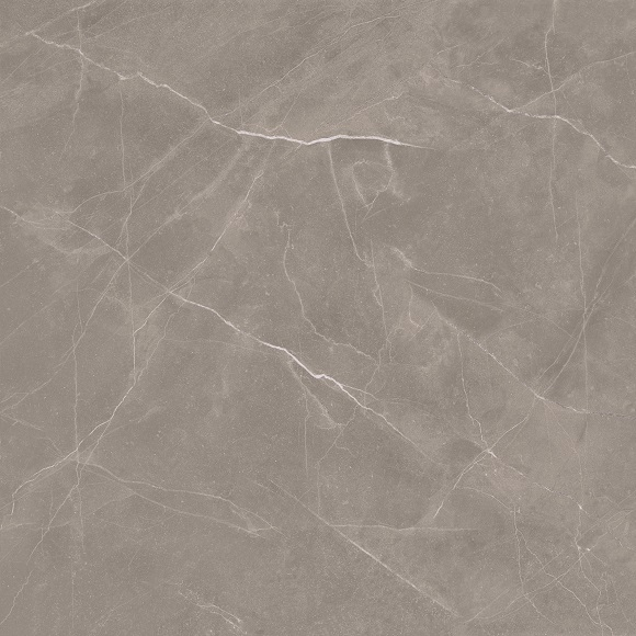 Entiva Dallas Petra Polished 600x600mm