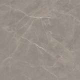 Entiva Dallas Petra Polished 600x600mm