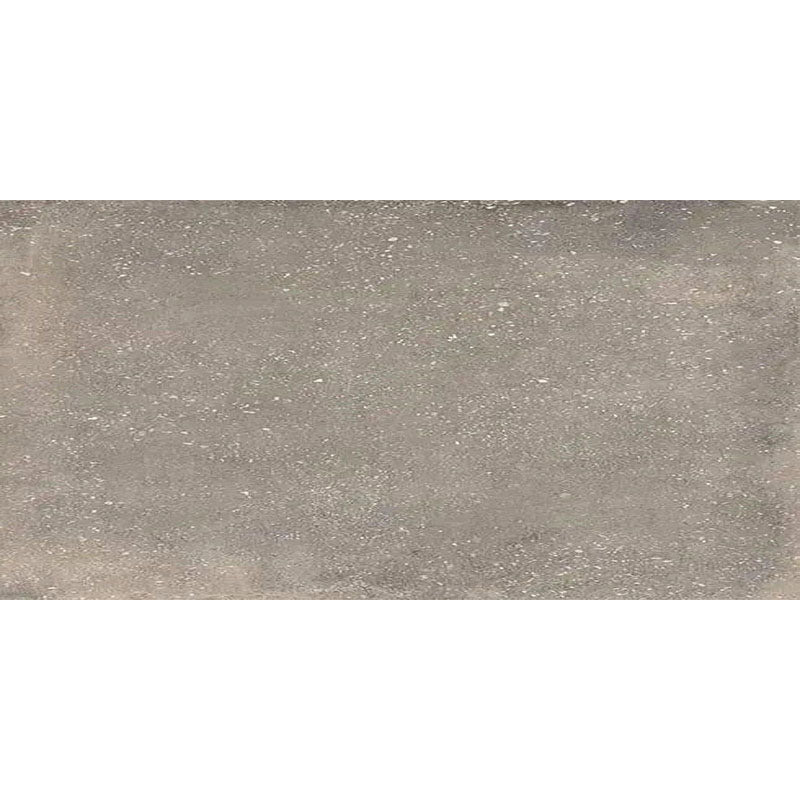 SALAMANCA LIGHT GREY EXTERNAL 300X600