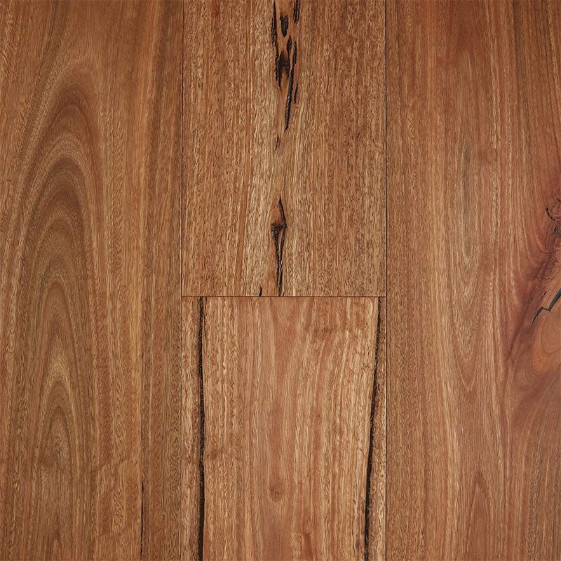 Rustic Matte Fiddleback Engineered Australian Hardwood Rustic Spotted Gum 1860x189x14/3mm