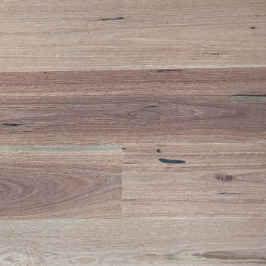 Australian Hardwood Sydney Blue Gum 1900x190x14/3mm