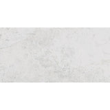 Tibet Salt 30x60 SurfaceTec