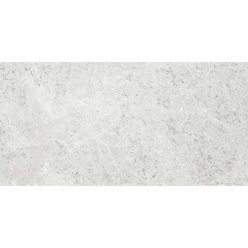 Tundra Extra Silver 30x60 SurfaceTec