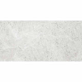Tundra Extra Silver 30x60 SurfaceTec