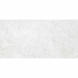 Tundra Extra White 30x60 SurfaceTec