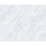 Taj Mahal Silver 600x1200 Matt