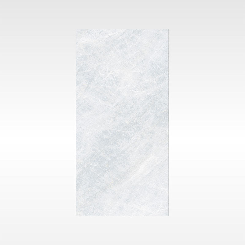 Taj Mahal Silver 600x1200 Matt