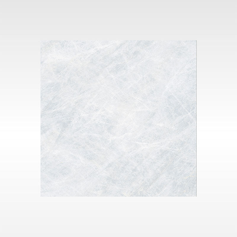 Taj Mahal Silver 600x600 Matt