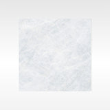 Taj Mahal Silver 600x600 Matt