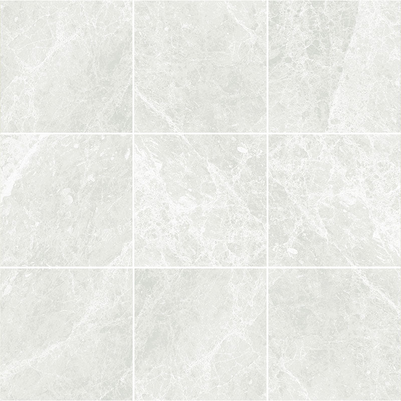 Tundra White 600x600 In&Out Solution