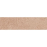 Venice Clay Subway 6x25 Matt