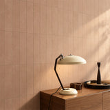 Venice Clay Subway 6x25 Matt