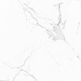 VENETO CARRARA 600X600 MATTE