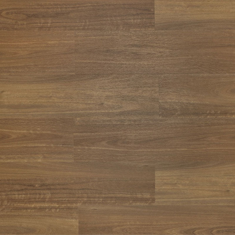 Prism Hybrid Vesper Spotted Gum 1830x230x8mm