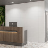 Stellar White Concave Matt Decor 300x600mm