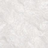 Alba Grey Polished 600x600mm