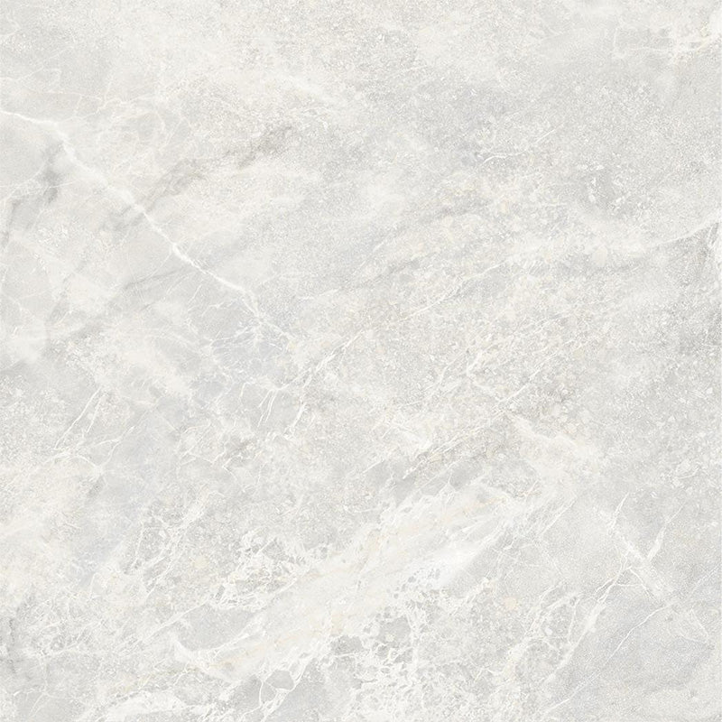 Alba Grey Polished 600x600mm
