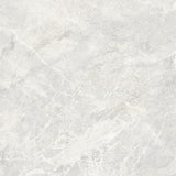 Alba Grey Polished 600x600mm