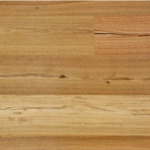 Australian Hardwood Spotted Gum Feature Brush Finish 1900x190x14/3mm