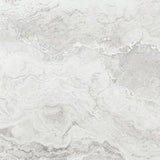 Baroque Light Grey 60X60 SurfaceTec