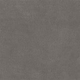 Entiva Bluestone 20mm Lastra 600x600 Rec.