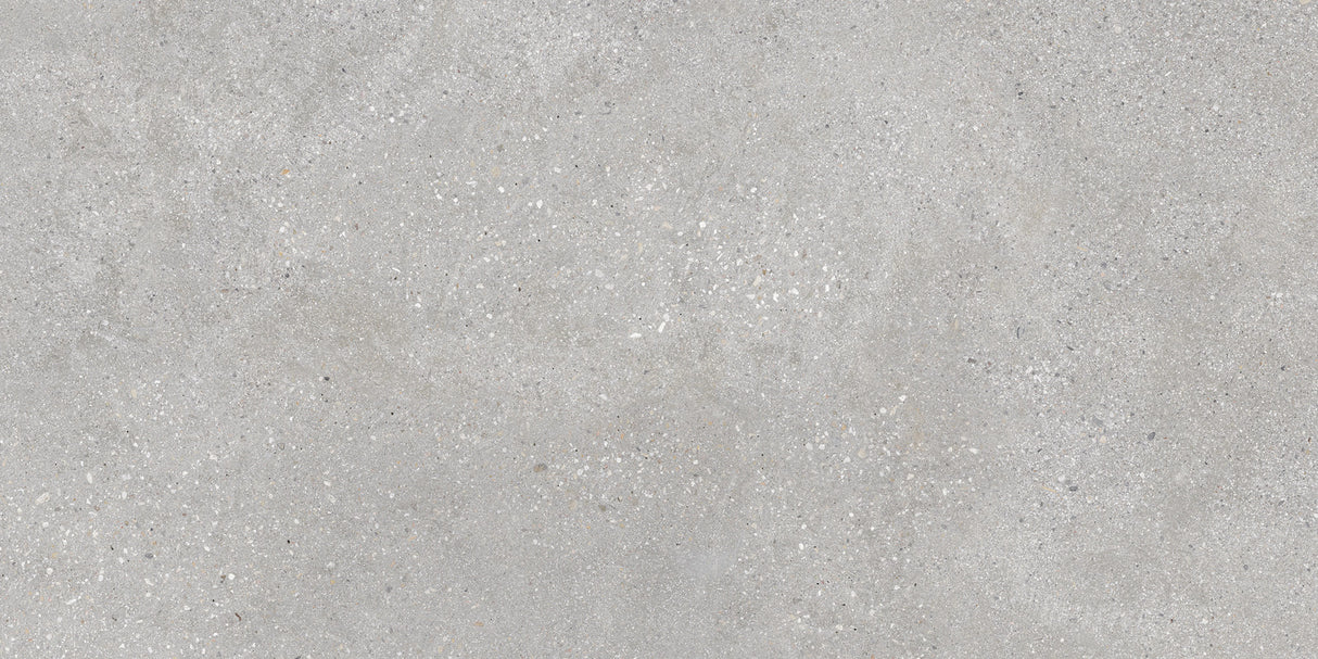 ConcreteRock Grey 600x1200 Matt