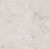 Ultimate Silver 60x60 SurfaceTec