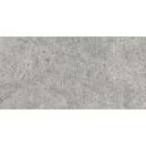 Astra Light Grey In&Out 300x600