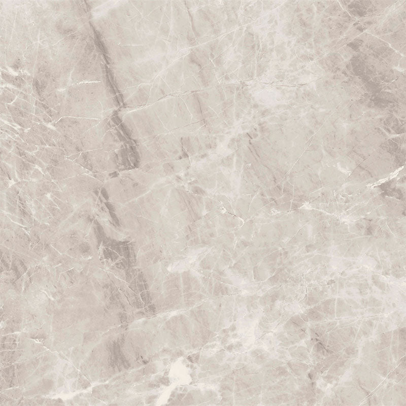 Midas Grey Matt P3 Rectified 600x600