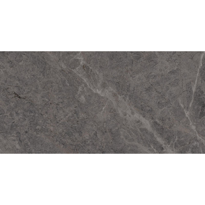 Entiva Newton Coal Matt 600x1200 Rec