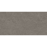 Entiva Spark Charcoal Matt 600x1200 Rec.