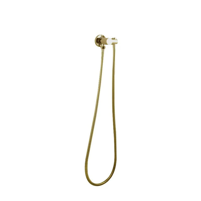 Pentro Brushed Yellow Gold Shower Holder & Connector