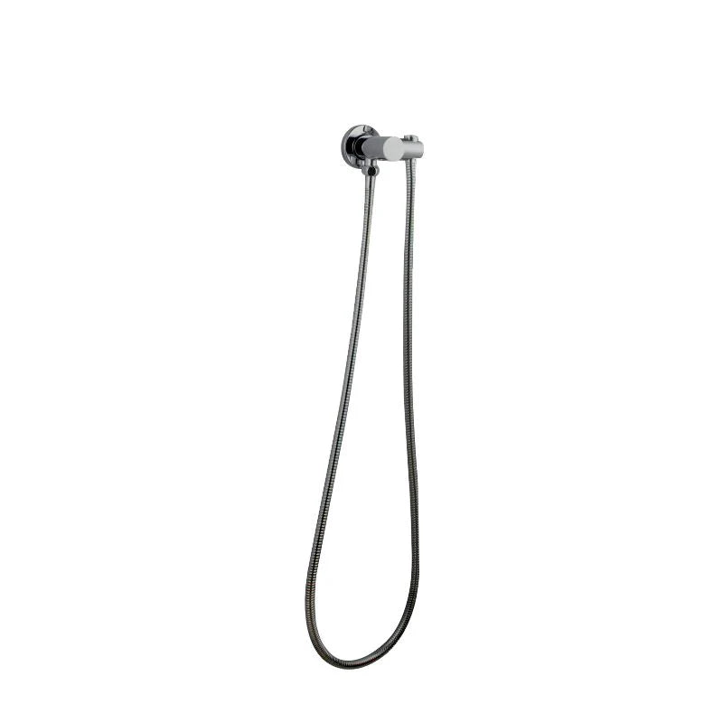 Pentro Brushed Nickel Shower Holder & Connector