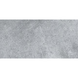 Entiva Stone Valley Cinder Matt Smart-Tech 600x1200 Rec.