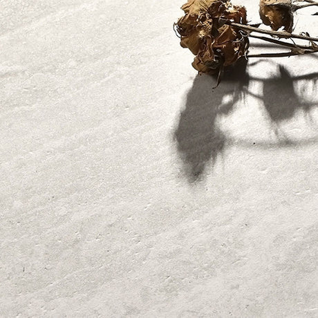 Entiva Travertine Vein Cut White Matt P4 600x600 Rec.